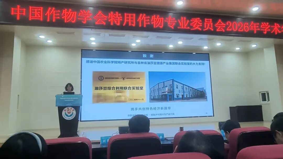 彭老师.jpg